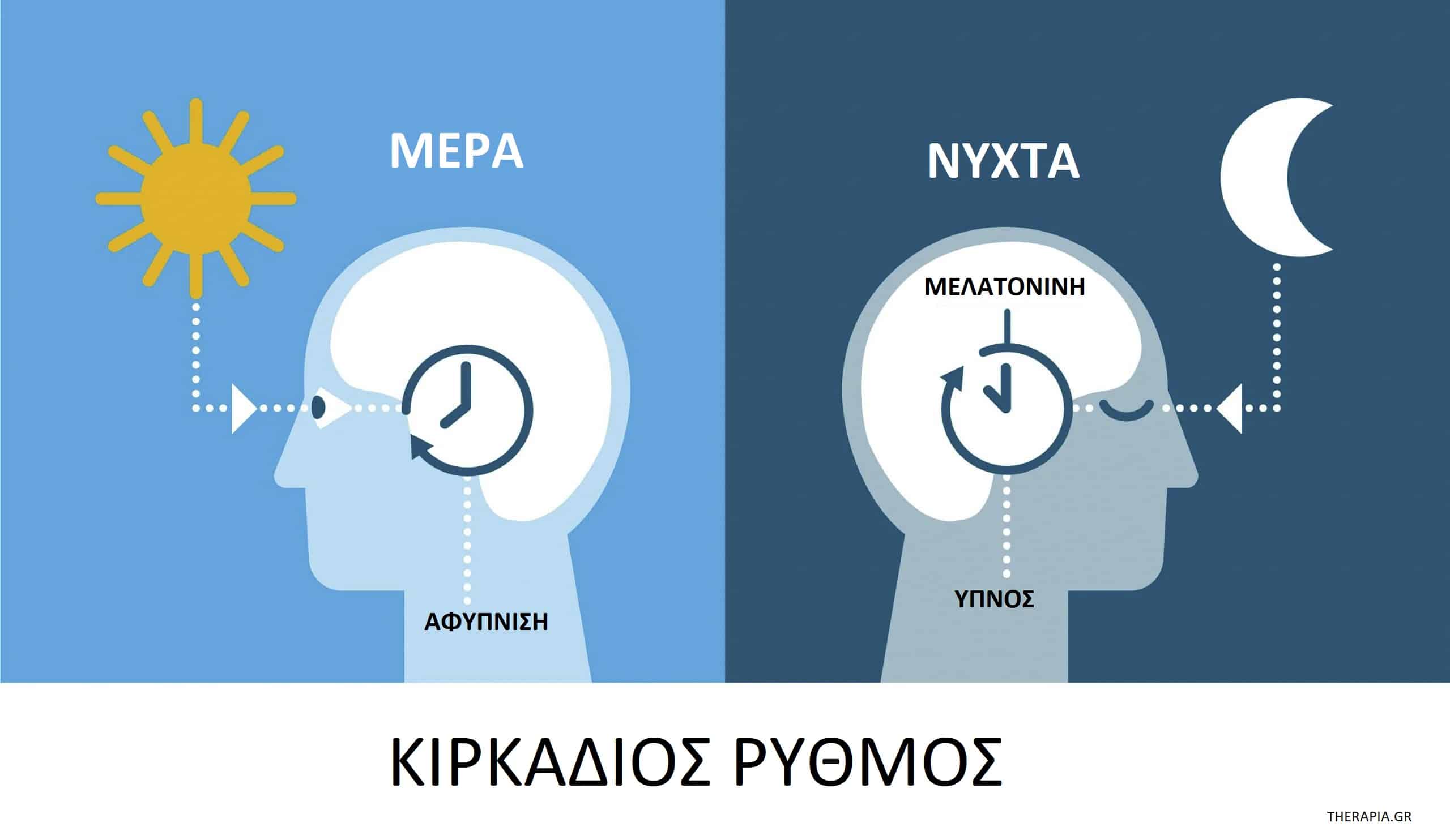 Κιρκάδιος ρυθμός, Ρύθμιση κιρκάδιου ρυθμού, Διαταραχή κιρκάδιου ρυθμού