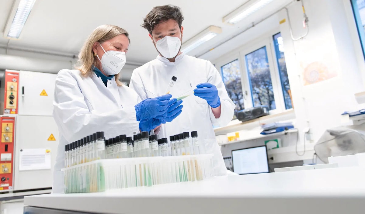 Press release, Trial