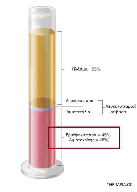 Αιματοκρίτης, Ετήσιες προληπτικές εξετάσεις, Αιματολογικές εξετάσεις