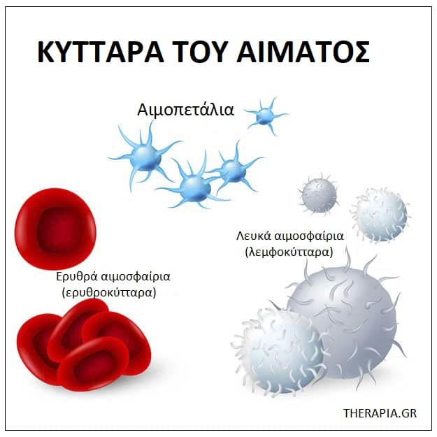Αιμοπετάλια, Αιματολογικές εξετάσεις, Ετήσιος προληπτικός έλεγχος