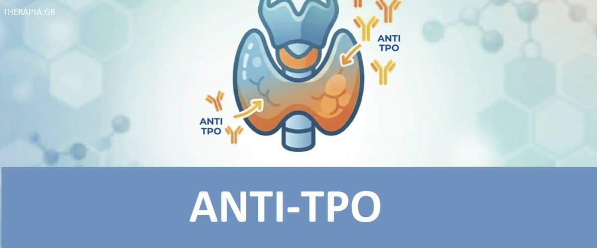 Anti-TPO, Εξέταση Anti-TPO, Πότε γίνεται η εξέταση anti-TPO, Πώς γίνεται η εξέταση Anti-TPO, Φυσιολογικές τιμές Anti-TPO, Υψηλές τιμές anti-TPO, Χαμηλές τιμές anti-TPO, Φάρμακα που επηρεάζουν την. εξέταση anti-TPO