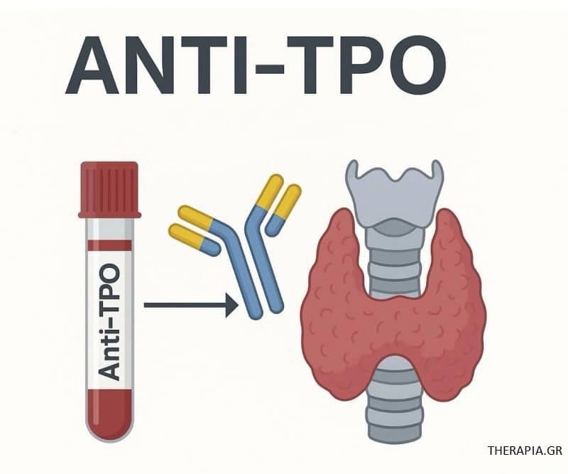 Εξέταση Anti-TPO, Εξετάσεις, Φυσιολογικές τιμές anti-TPO