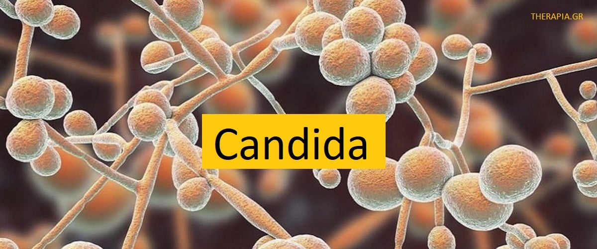 Candida, Εξέταση για candida, Πότε γίνεται η εξέταση για candida, Πώς γίνεται η εξέταση για candida, Αυξημένες τιμές candida, Χαμηλές τιμές candida, Φάρμακα που επηρεάζουν την εξέταση για candida