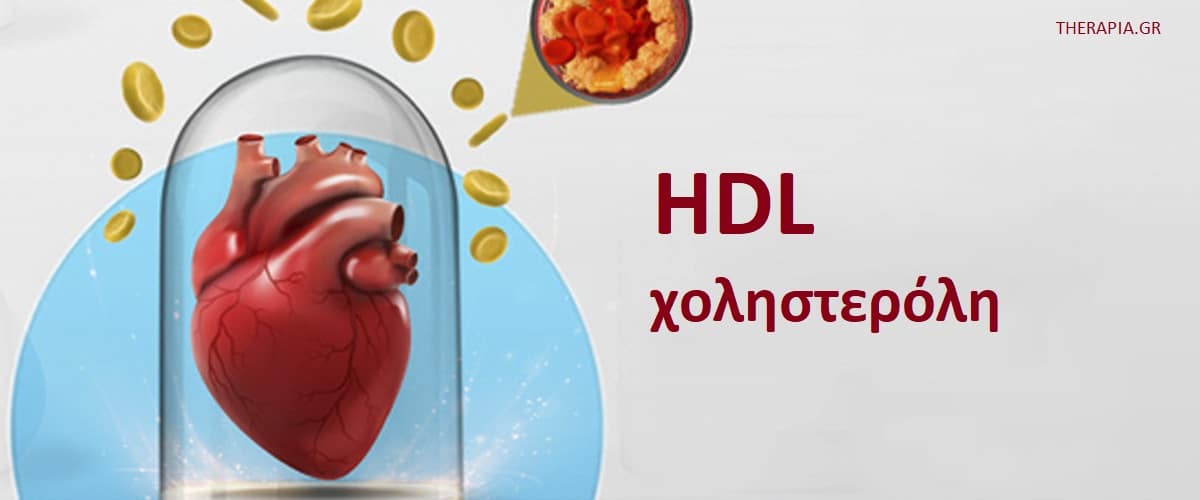 HDL χοληστερόλη, Φυσιολογικές τιμές HDL χοληστερόλης, Υψηλές τιμές HDL χοληστερόλης, Χαμηλές τιμές HDL χολσητερολης, Φάρμακα που επηρεάζουν τα επίπεδα της HDL χοληστερόλης