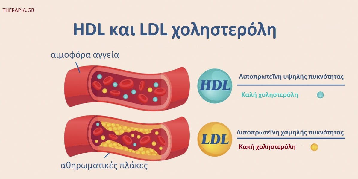 HDL χοληστερόλη, Ετήσιος προληπτικός έλεγχος, Αθηρωματικός δείκτης
