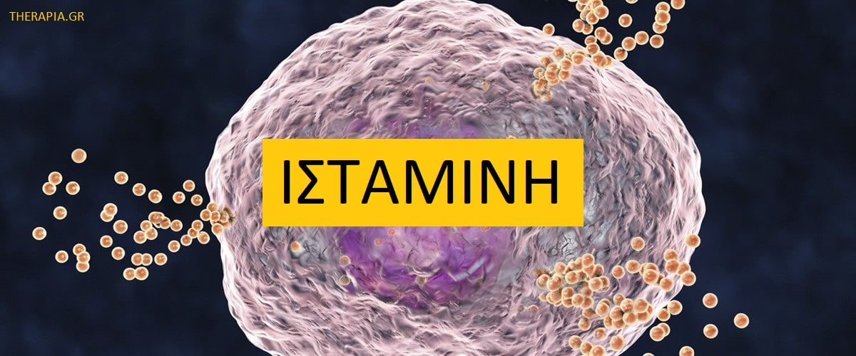 Ισταμίνη, Ισταμίνη και ψυχικές διαταραχές, Ισταμίνη και εγκέφαλος, ισταμίνη και ψυχική υγεία, Ισταμίνη και ανοσοποιητικό σύστημα, Ισταμίνη και κατάθλιψη, Ρόλοι ισταμίνης