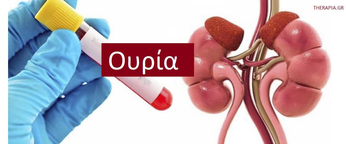 Ουρία, Εξέταση ουρίας, Τιμές ουρίας, Φυσιολογικέ άτιμες ουρίας, υψηλές τιμές ουρίας, Χαμηλές τιμές ουρίας, Πότε γίνεται η εξέταση ουρίας, Φάρμακα που επηρεάζουν την εξέταση ουρίας