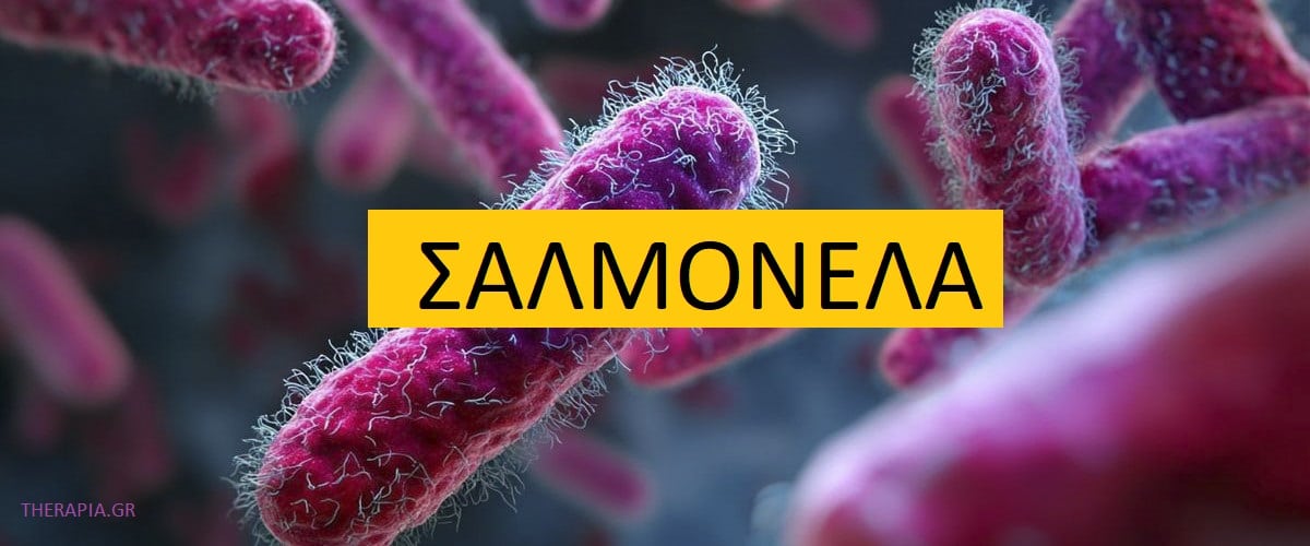 Σαλμονέλα, Εξέταση για σαλμονέλα, Πότε γίνεται η εξέταση για σαλμονέλα, Πως γίνεται η εξέταση για σαλμονέλα, Αυξημένες τιμές σαλμονέλας, Μειωμένες τιμές σαλμονέλας, Φάρμακα που επηρεάζουν τη. εξέταση για σαλμονέλα
