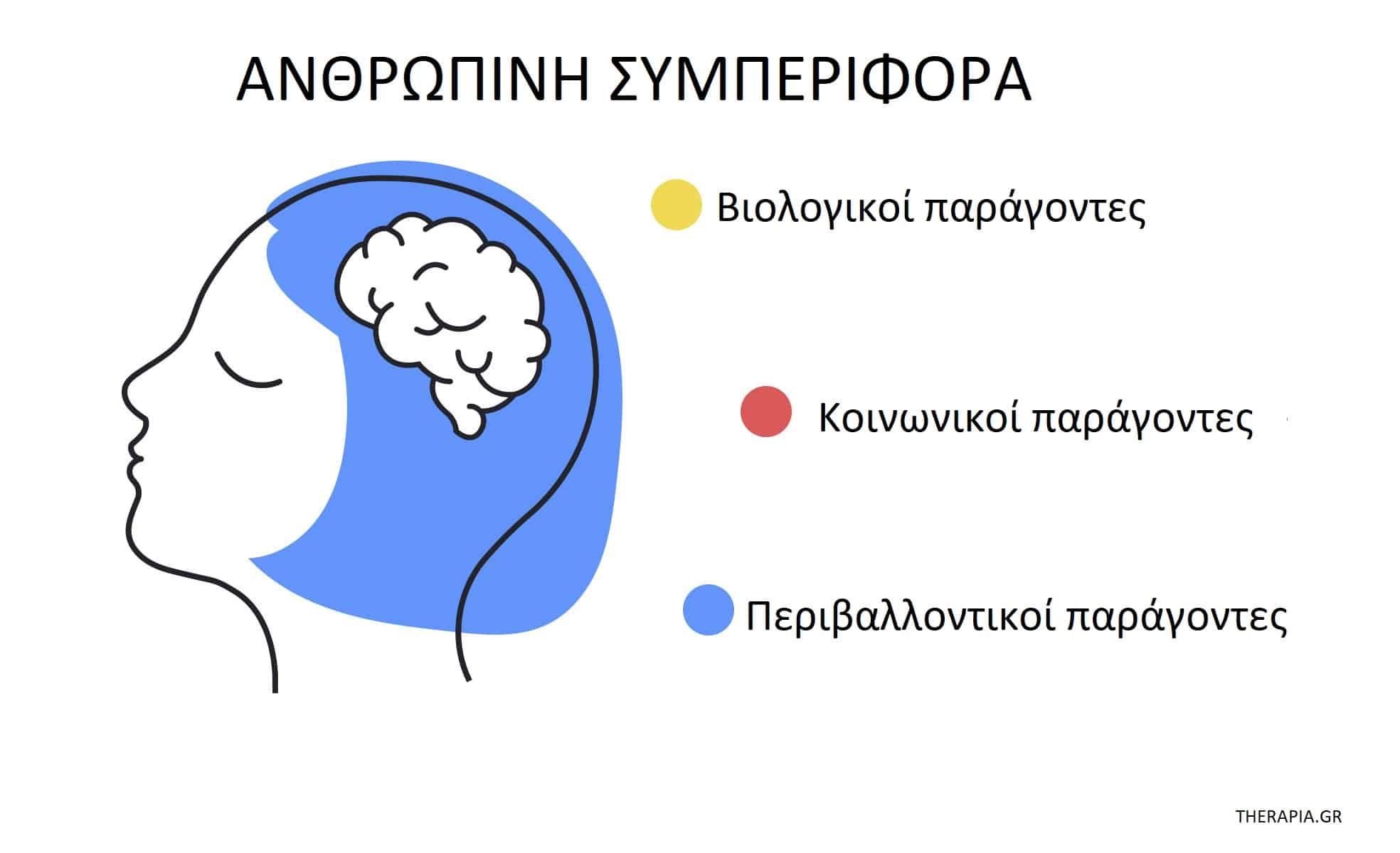 Ανθρώπινη συμπεριφορά, Παράγοντες που καθορίζουν την ανθρώπινη συμπεριφορά, Ψυχολογία