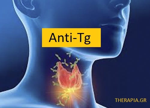 Anti Tg, Θυρεοειδής, Εξετάσεις για το θυρεοειδή