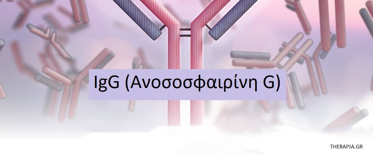 IgG, Ανοσοσφαιρίνη G, Φυσιολογικές τιμές IgG, Υψηλές τιμές IgG, Χαμηλές τιμές IgG, Φάρμακα που επηρεάζουν την εξέταση IgG