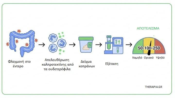 Καλπροτεκτίνη κοπράνων , Εξετάσεις για το έντερο, Φλεγμονή στο ενετρο