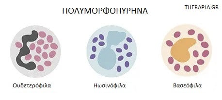 Πολυμορφοπύρηνα, Εξετάσεις αίματος, Προληπτικές εξετάσεις