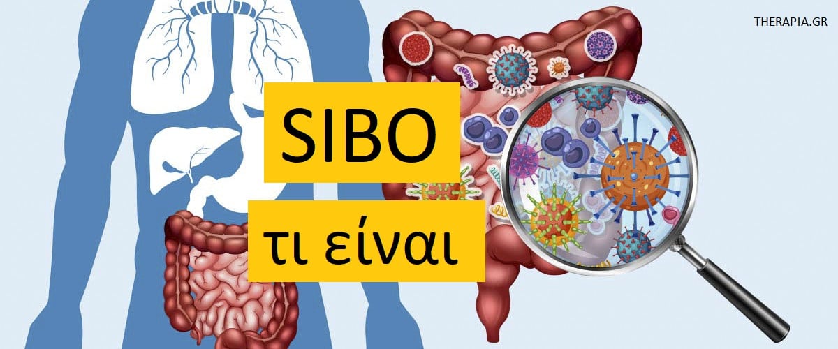 SIBO, Τι είναι το SIBO, Μικροβίωμα του εντέρου, Υγεία του εντέρου, Τύποι SIBO, Συμπτώματα SIBO, Αιτίες SIBO, Αντιμετώπιση SIBO