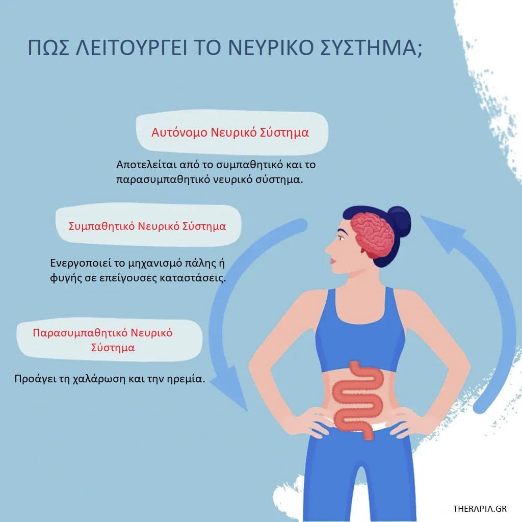 Νευρικό σύστημα, Εγκέφαλος, Χαλάρωση